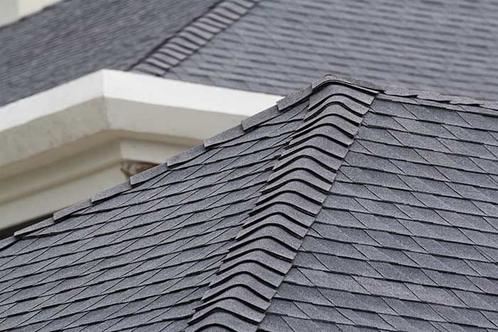 Close-up of a dark gray shingle roof meeting a white building trim.