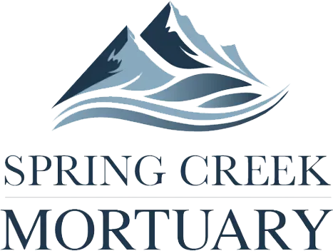 A white background with a few lines on it