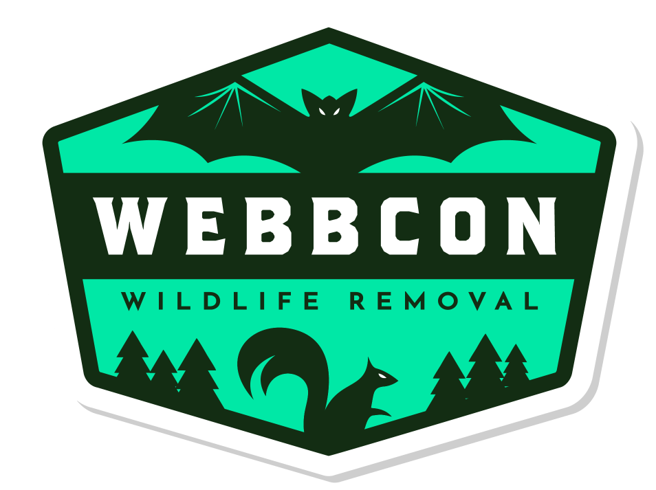 WEBBCON_FullColor_WhiteBG-689304b2-369w