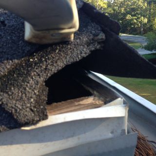 Squirrel Access Hole in Roof — Newnan, GA — Webbcon Wildlife Removal