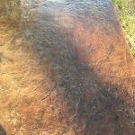 Dowd Contracting  Gallery Image 38