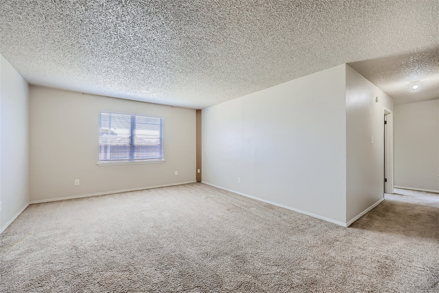 Empty room with beige carpet, light gray walls, window with blinds, and textured ceiling.