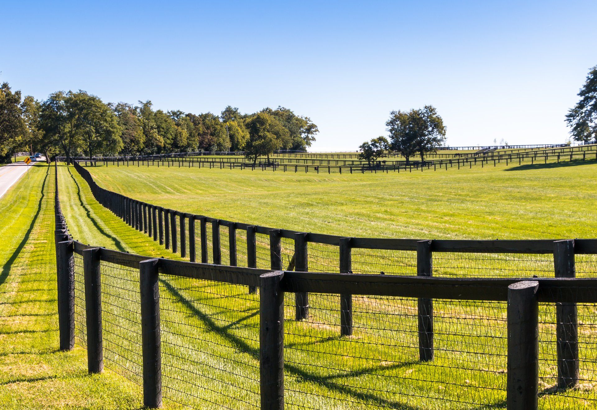 A wooden fence surrounds a grassy field with trees in the background.