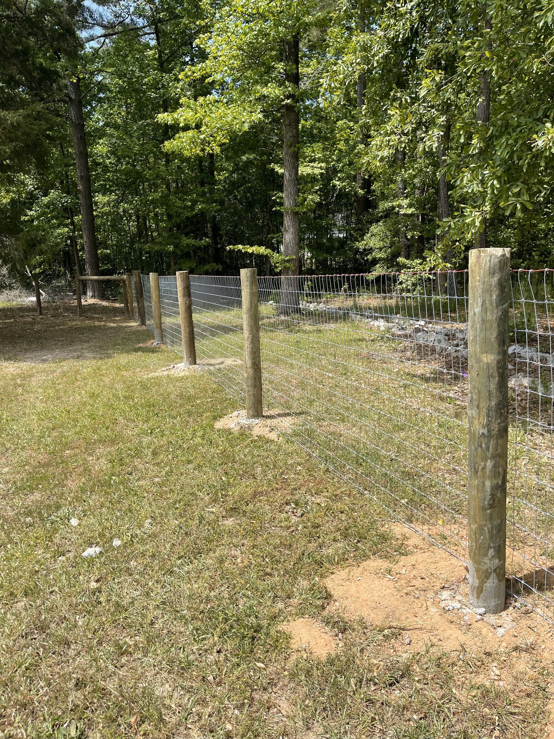 A row of wooden posts in a grassy field with trees in the background.