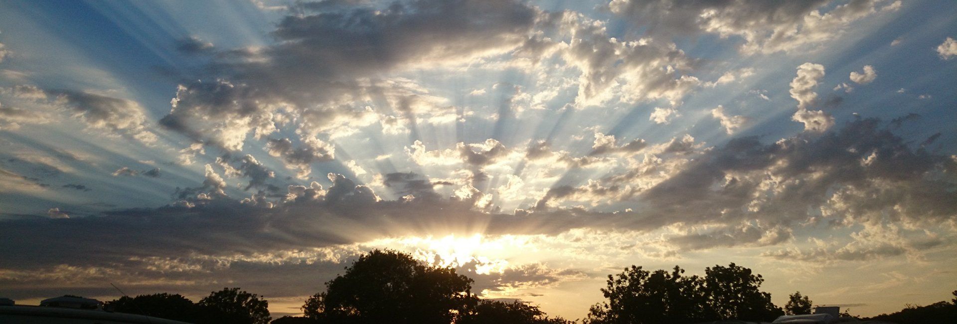 Funeral services from M Franks & Sons