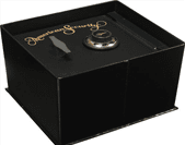 Safety Vault - safes in Lancaster, PA Safety Vault - safes in Lancaster, PA