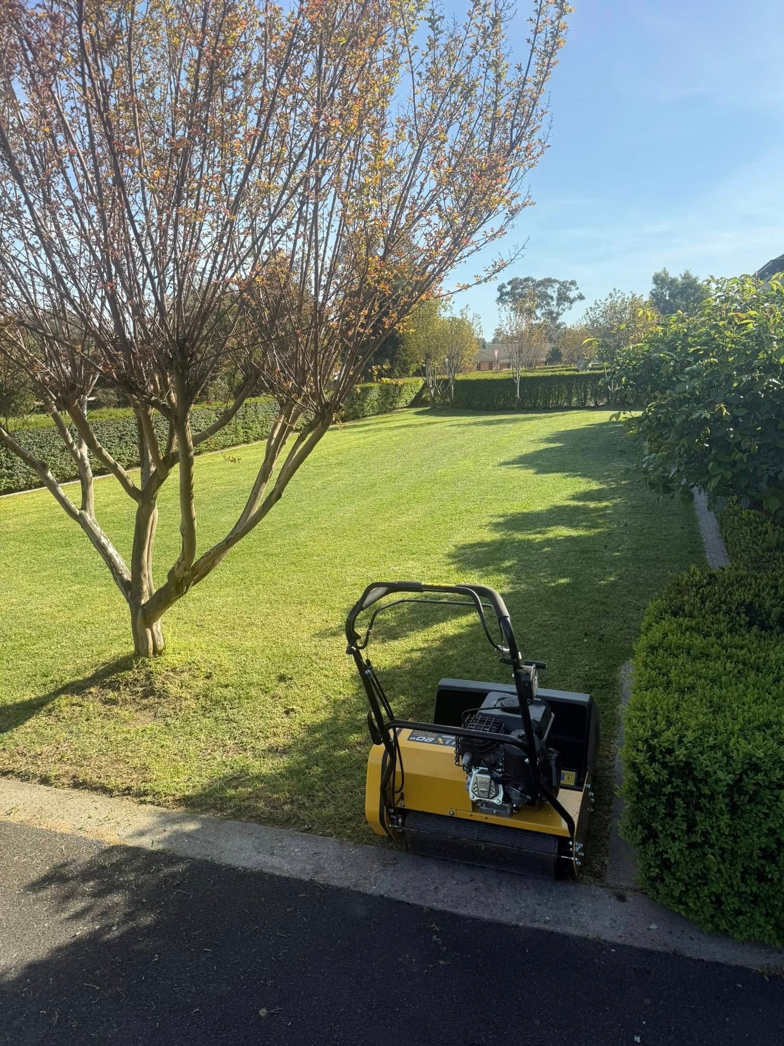 A yellow lawn aerator on a green lawn with a tree and bushes under a blue sky — Robbo's Hire In Thurgoona, NSW