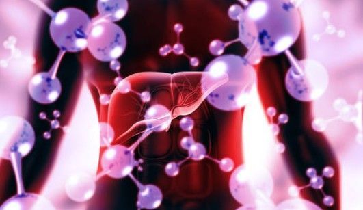 A computer generated image of a person 's liver surrounded by molecules.