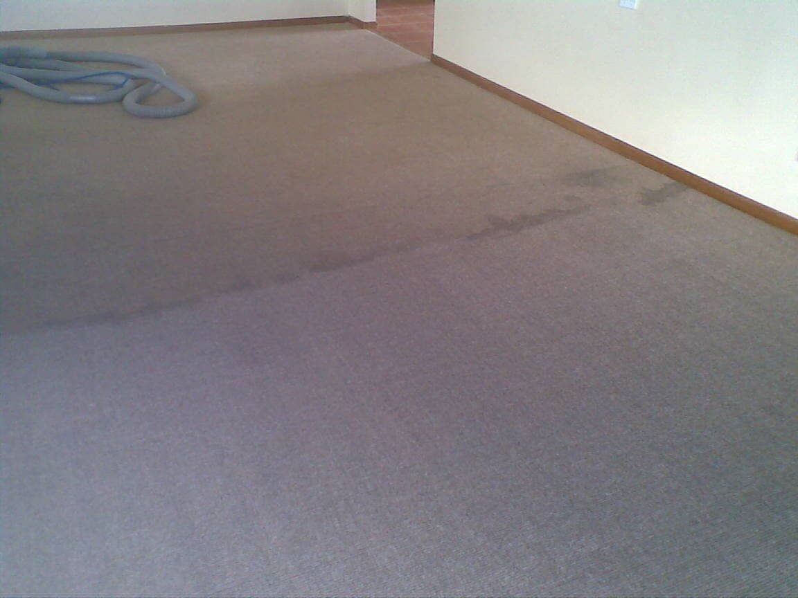 Cleaning Carpet With Vacuum Cleaning — Carpet Cleaning in Goonellabah, NSW
