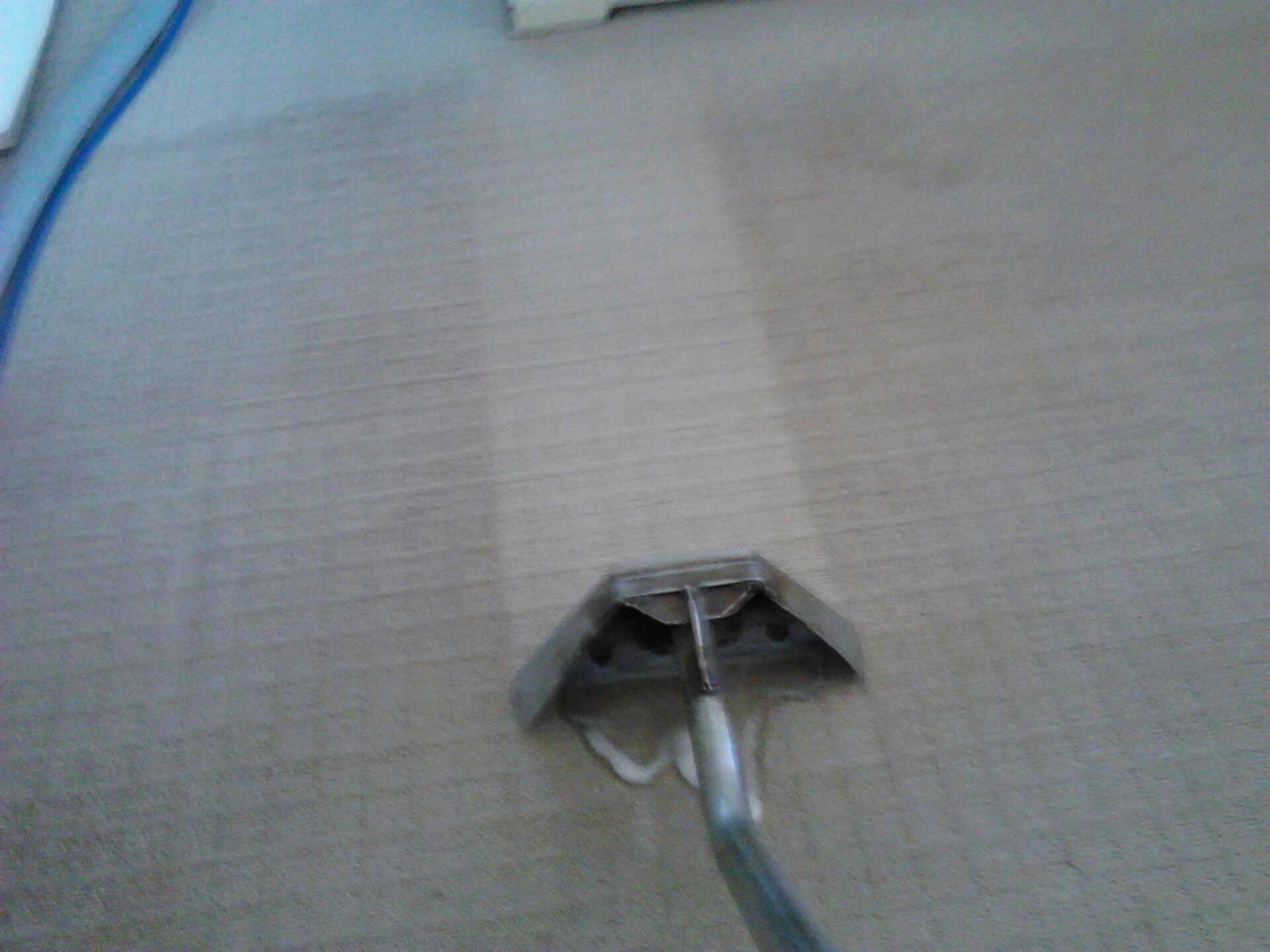 Carpet Chemical Cleaning — Carpet Cleaning in Goonellabah, NSW