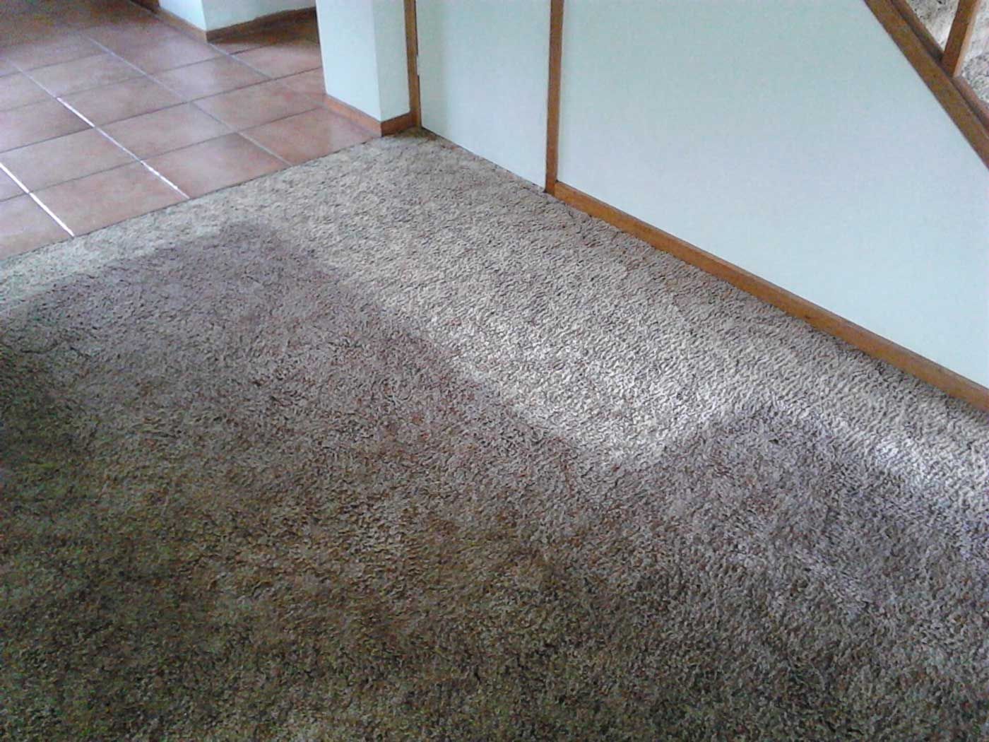 Wet Carpet — Carpet Cleaning in Goonellabah, NSW
