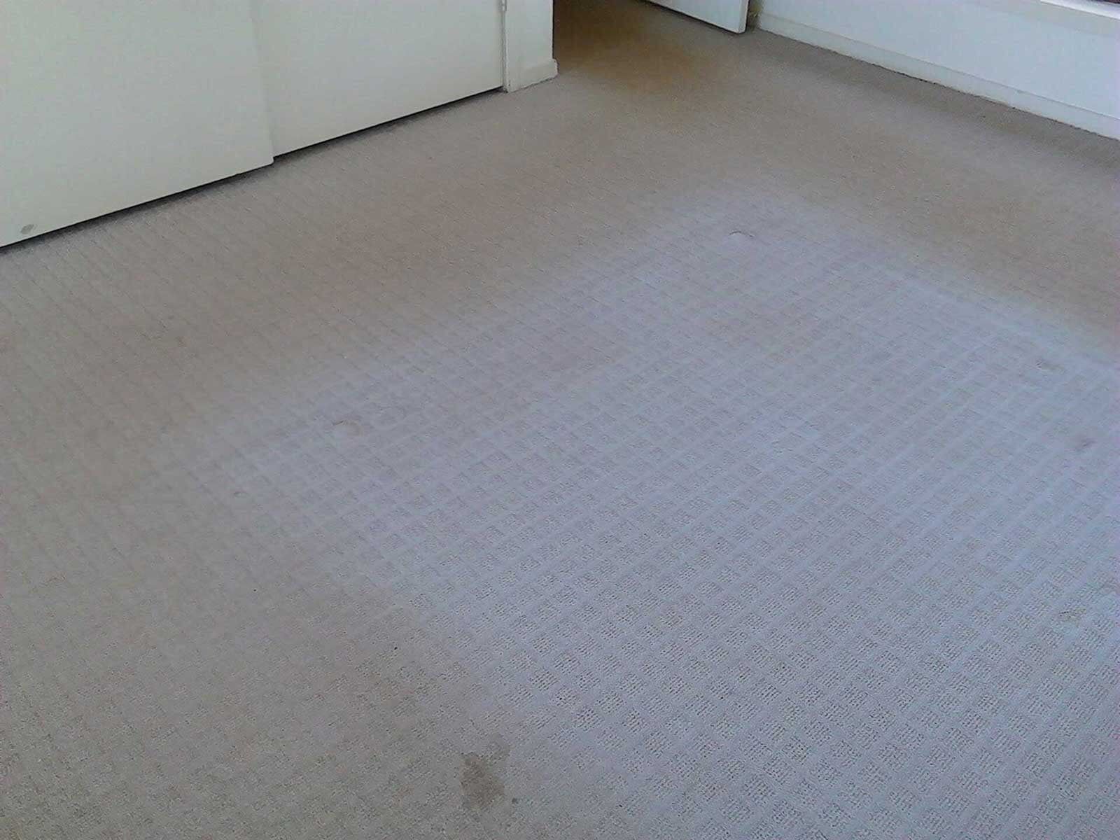 Steam Cleaning Of Carpets — Carpet Cleaning in Goonellabah, NSW