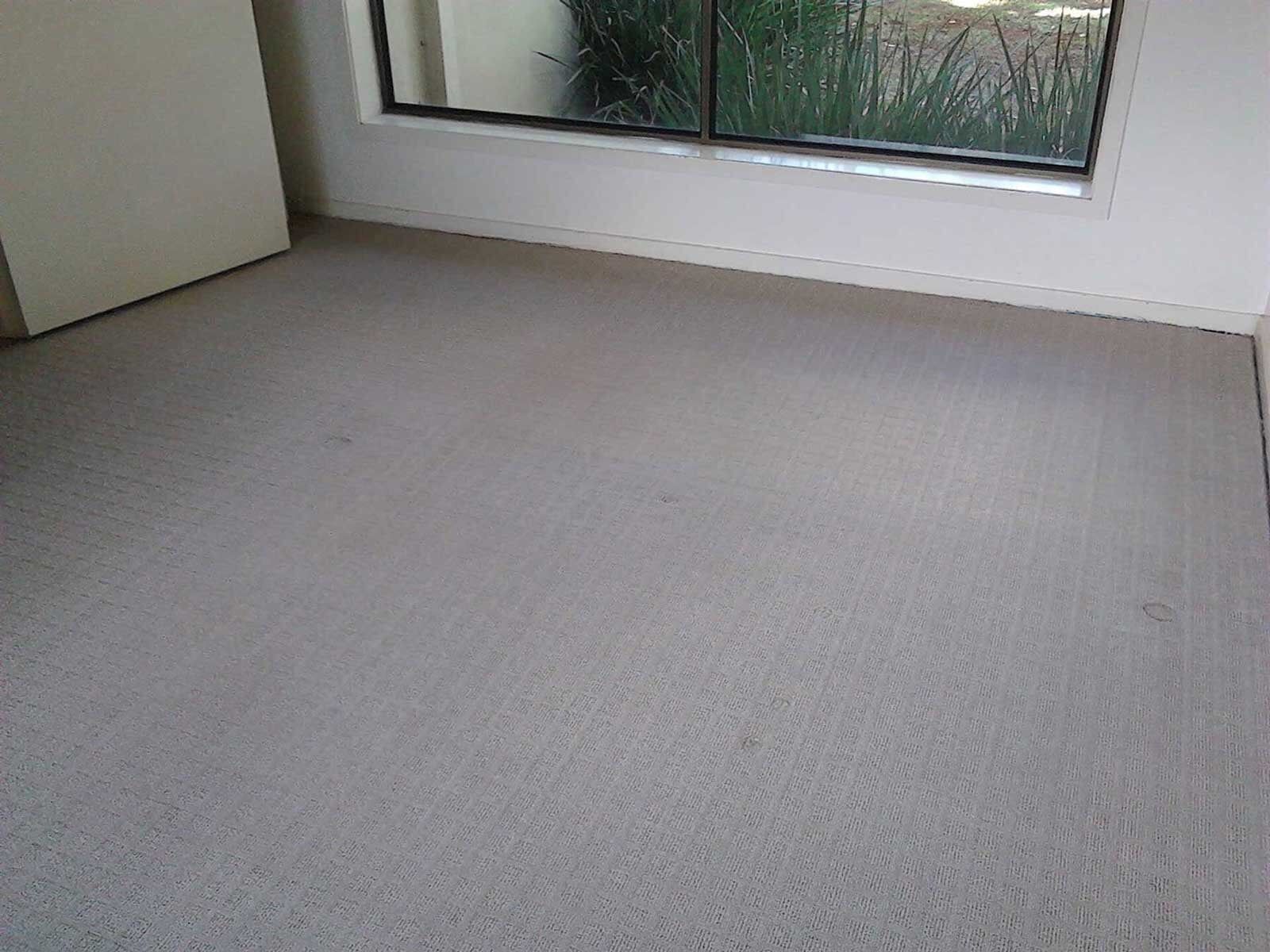 View Carpet After Cleaning — Carpet Cleaning in Goonellabah, NSW