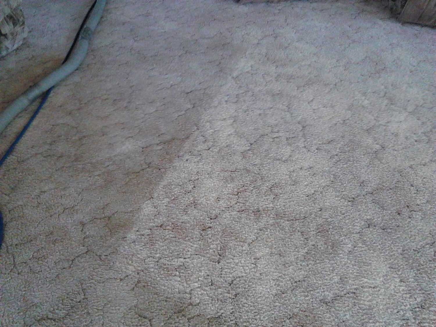 Upholstery Cleaning On Going — Carpet Cleaning in Goonellabah, NSW
