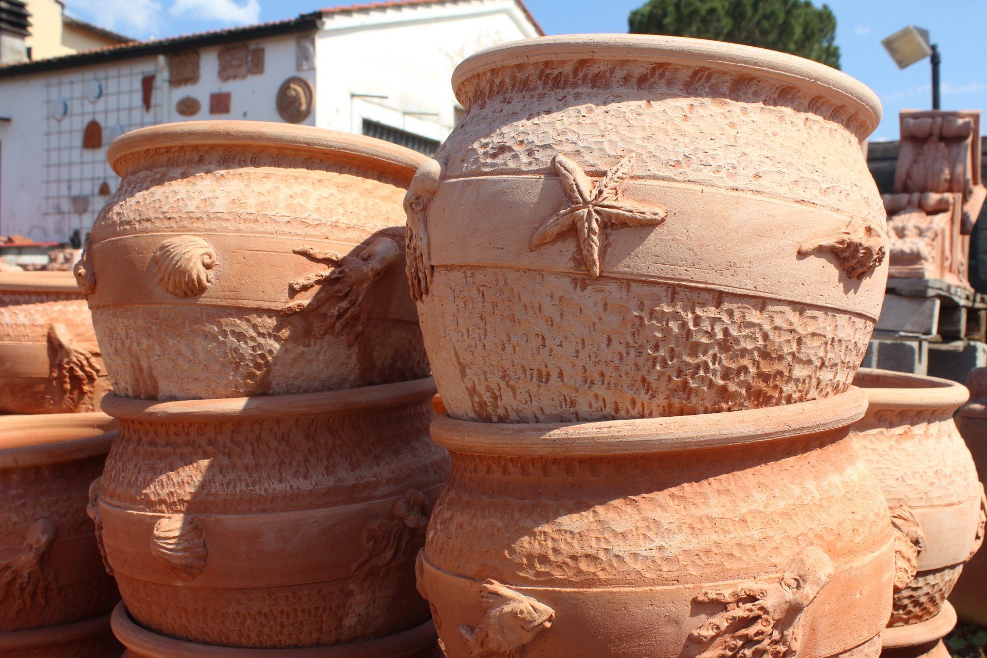 Terracotta con stella marina