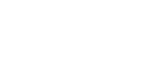 Defensive Firearms Instruction logo