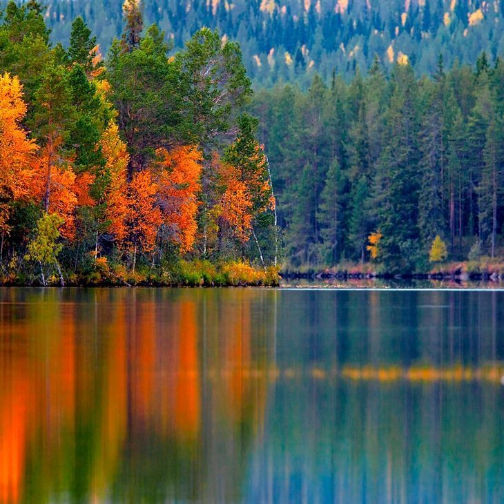 Natural Resource Assessment & Permitting