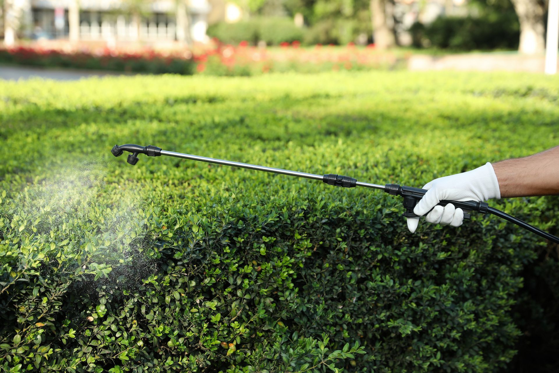 Commercial Disease & Pest Prevention & Mitigation