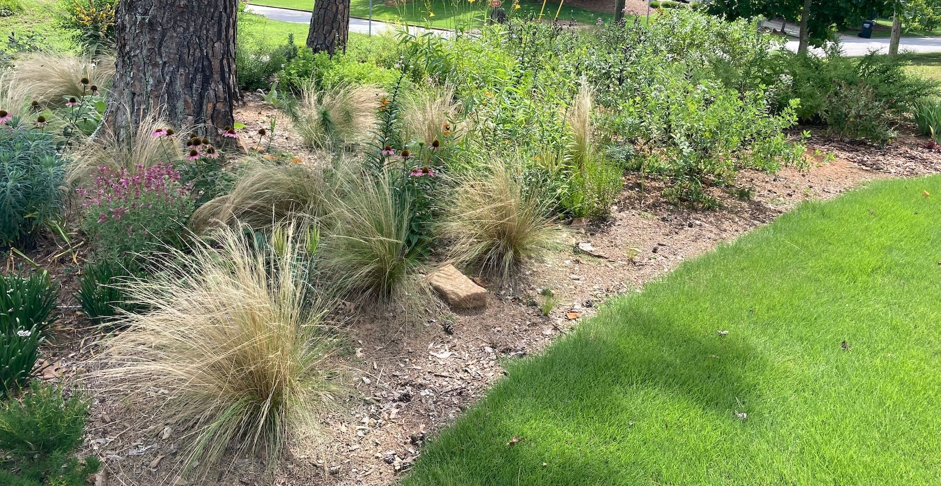 Commercial Weeding & Bed Redefining