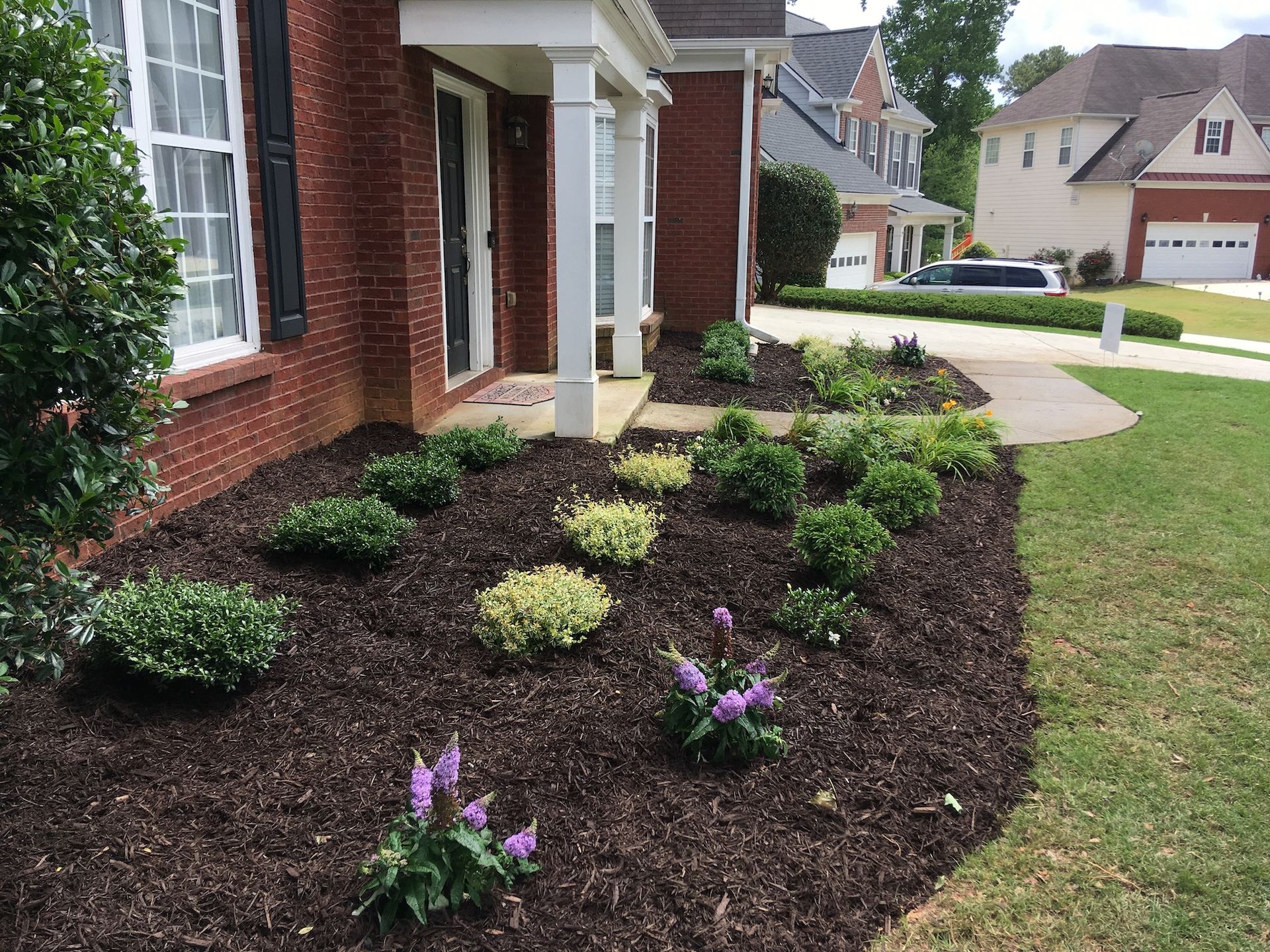 Weeding & Bed Redefining