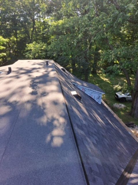 The roof of a house with trees in the background