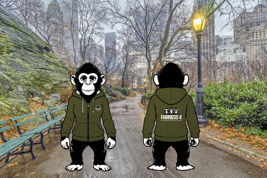 Ladies Hoodie, Cocoa Brown