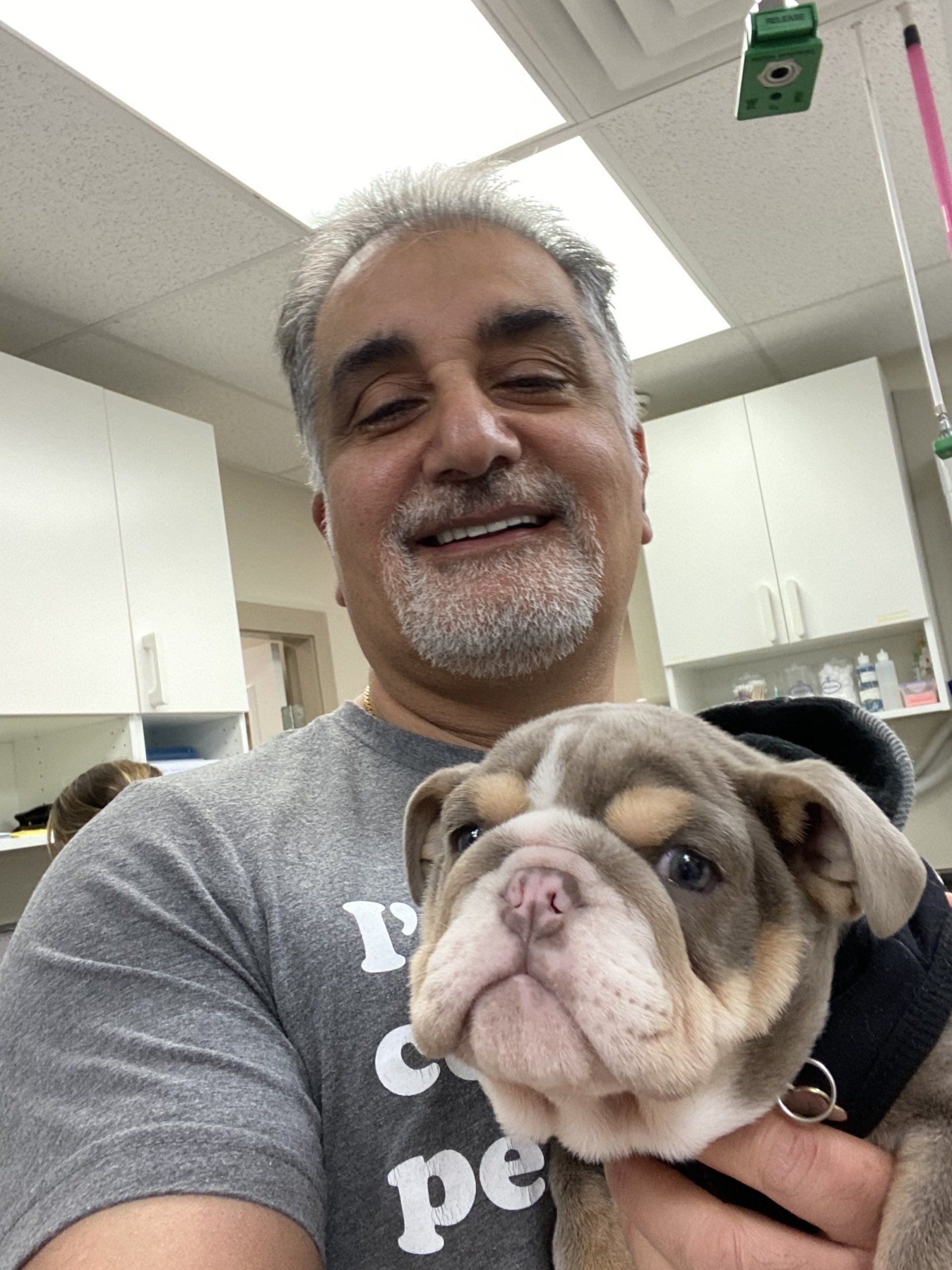 About Us North Vancouver Pet Hospital