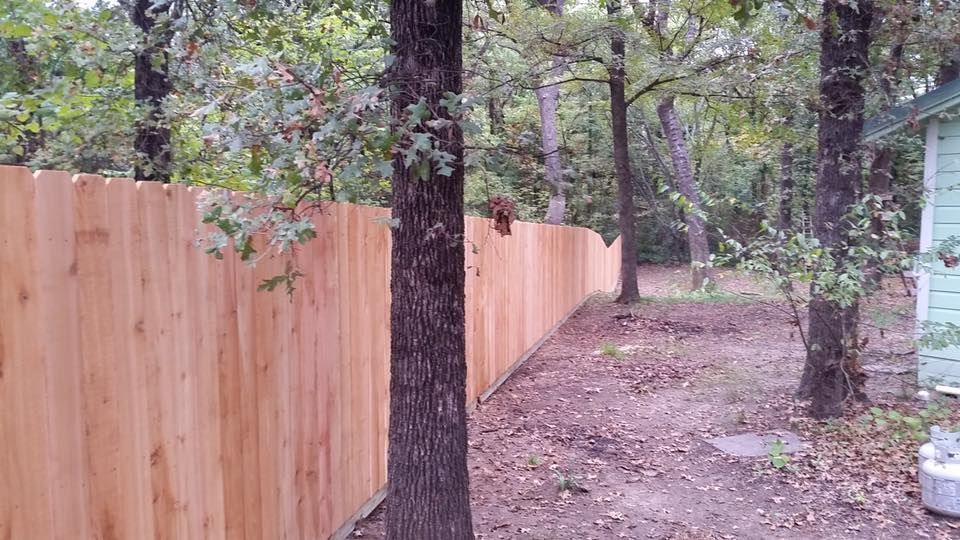 A wooden fence is surrounded by trees in a backyard.