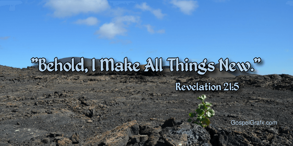 Revelation 21:5 And he that sat upon the throne said, Behold, I make all things new.