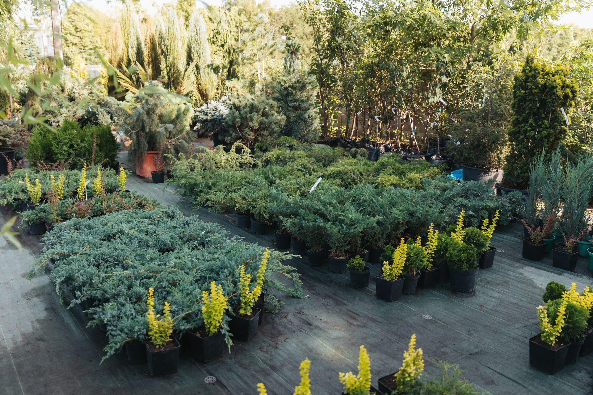 An aerial view of a garden filled with lots of potted plants.