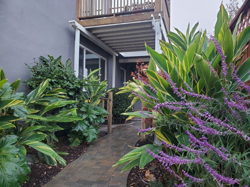 43 Silva exterior entry