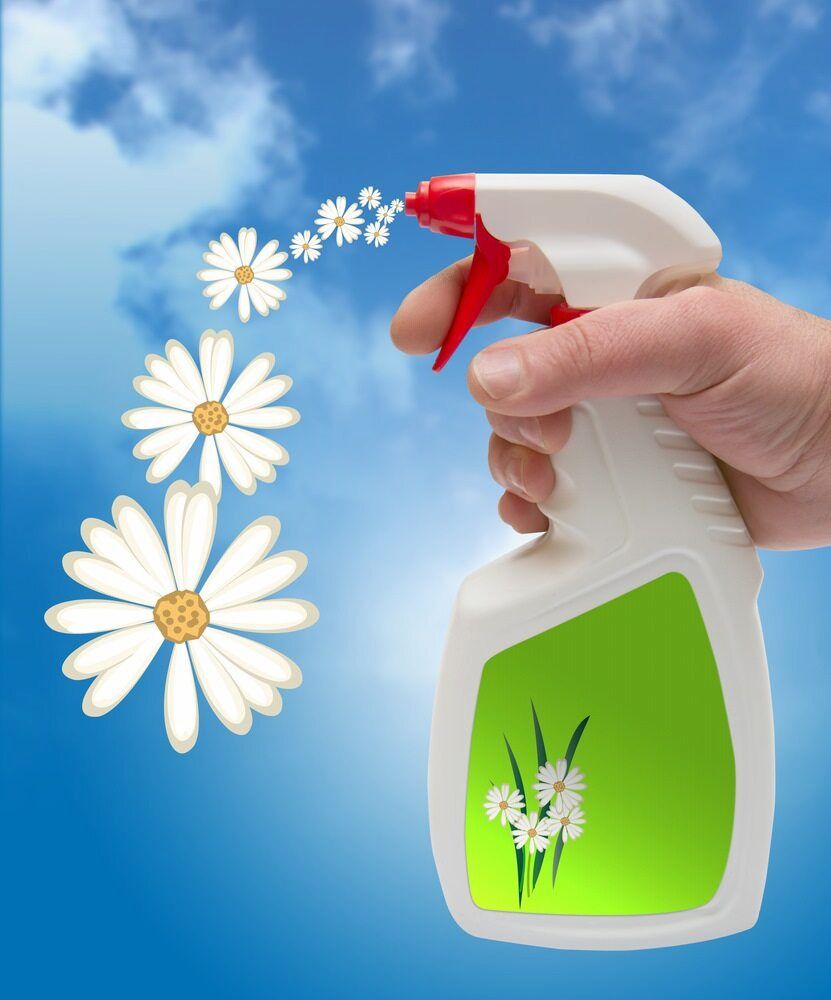 Hand Holding a Spray Bottle, Daisies Emerging — EcoAir Airconditioning in Zuccoli, NT