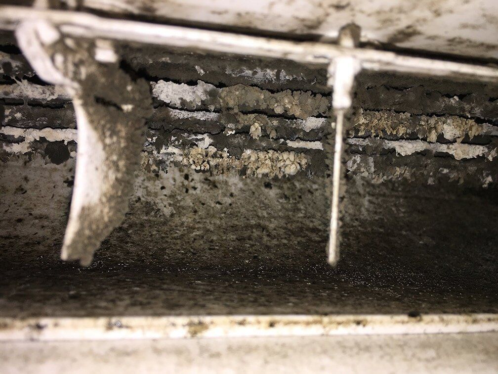 Air conditioner scroll fan with mould growing on the dirt and dust-build up