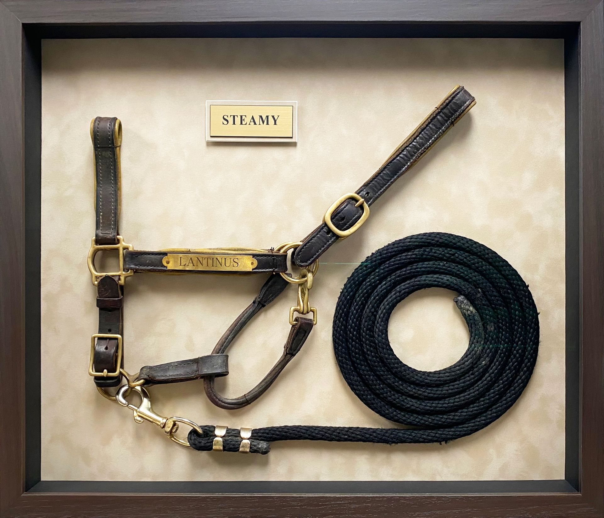 A picture of a bridle and leash with the name steamy on it