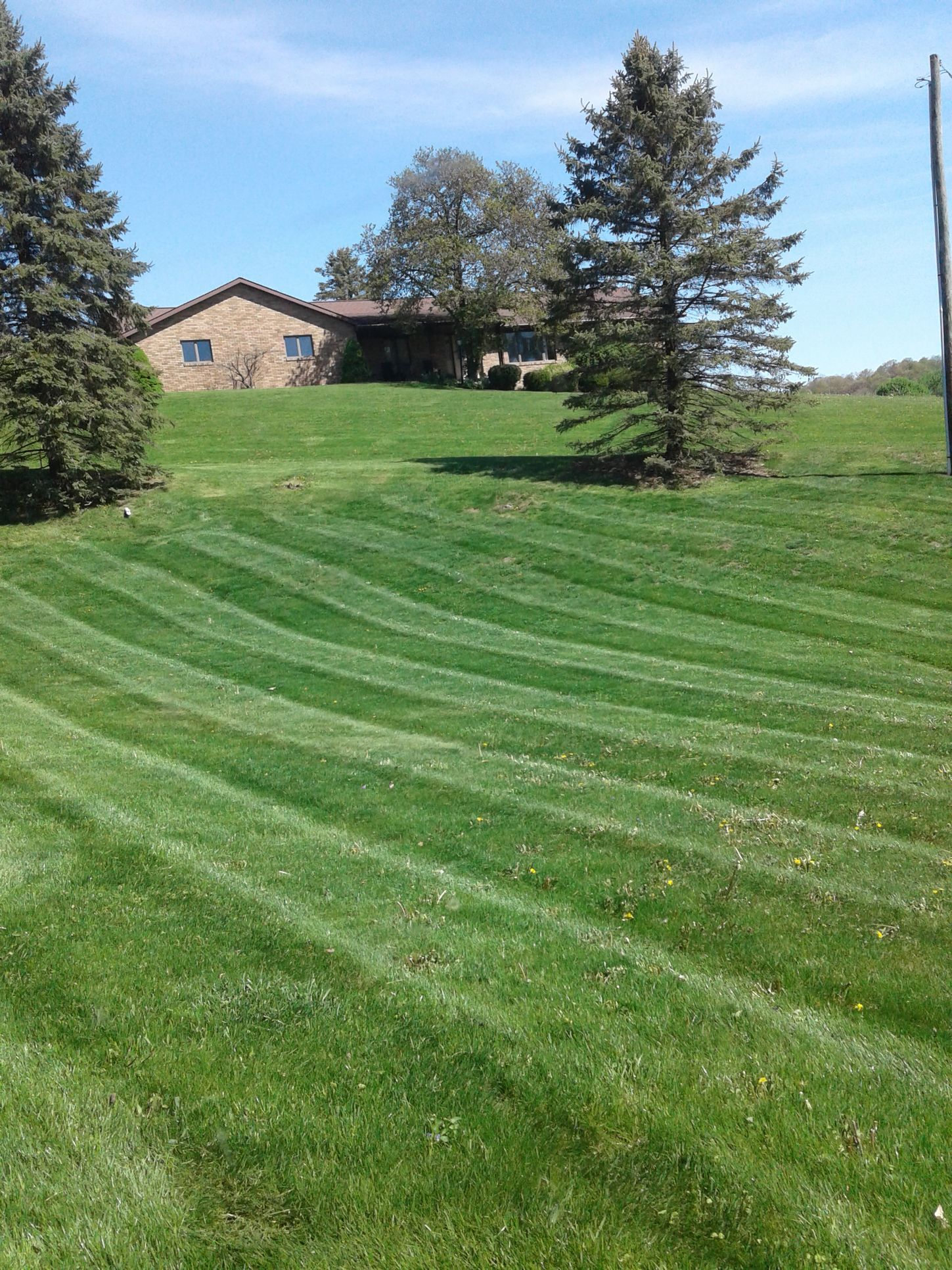 Lawn with diagonal stripes in front of a house, blue sky, and trees.