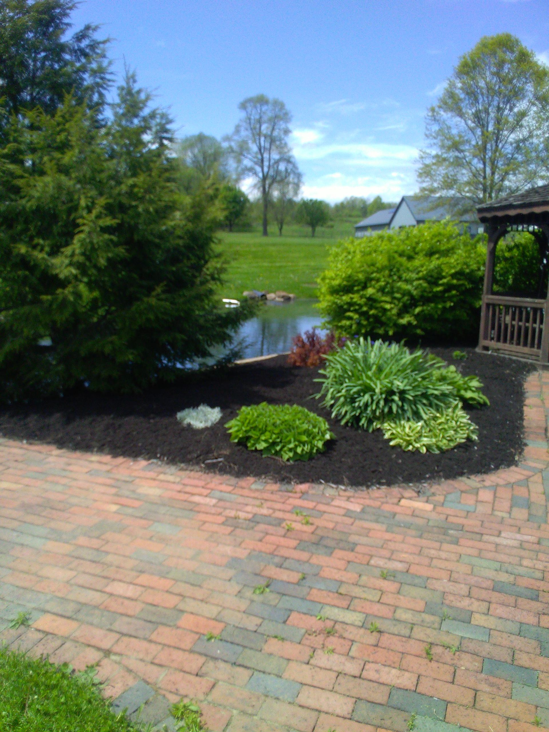 Brick pathway leads to pond surrounded by green plants, trees, and blue sky.