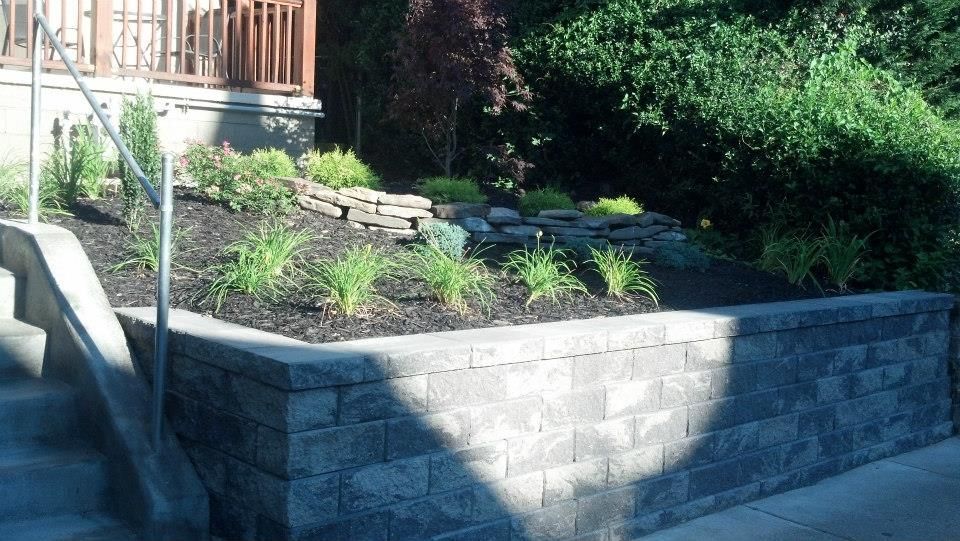 Stone retaining wall with a landscaped garden. Green plants and dark mulch.