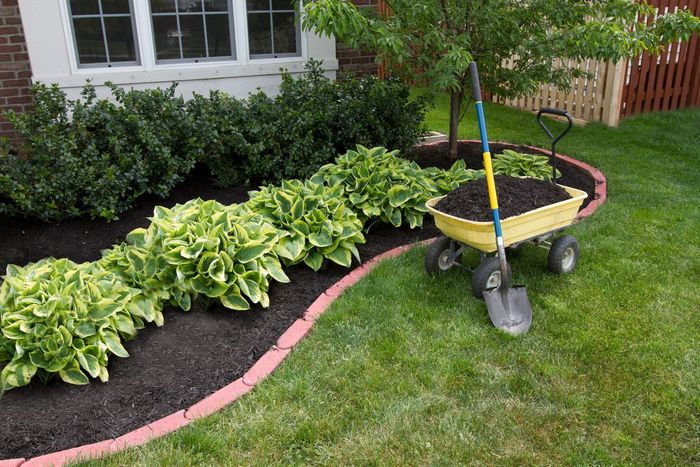 A garden bed with lush plants, fresh mulch, a wheelbarrow, and shovel next to a house with a green lawn.