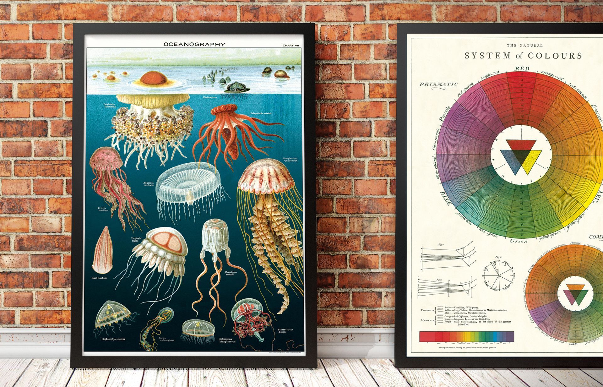 dois posters da cavallini