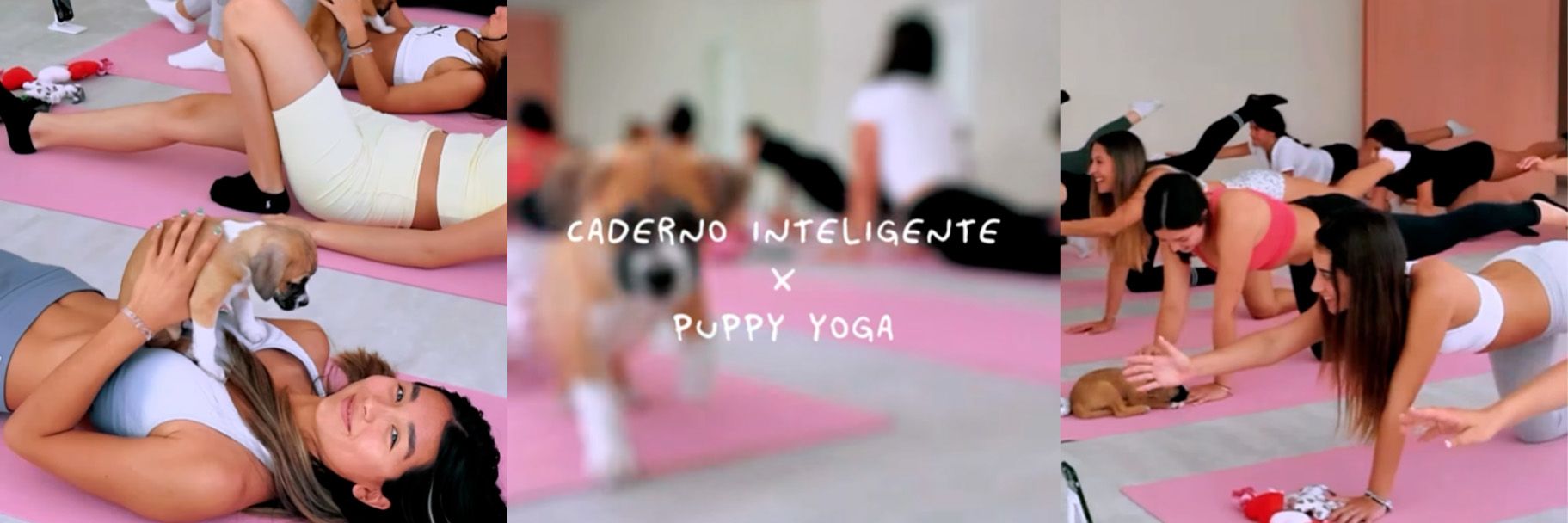 Caderno Inteligente e Rita Rocha com 10 fas