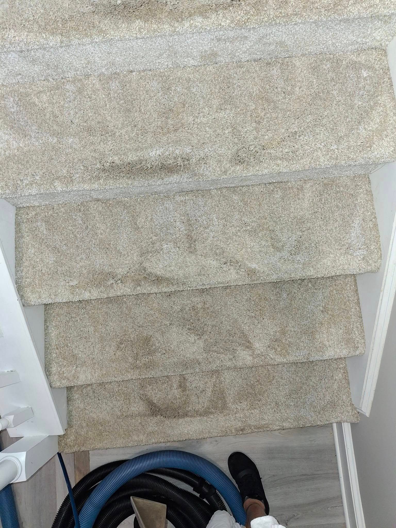 Carpeted stairs, viewed from above, with a vacuum hose at the bottom. The carpet is beige.