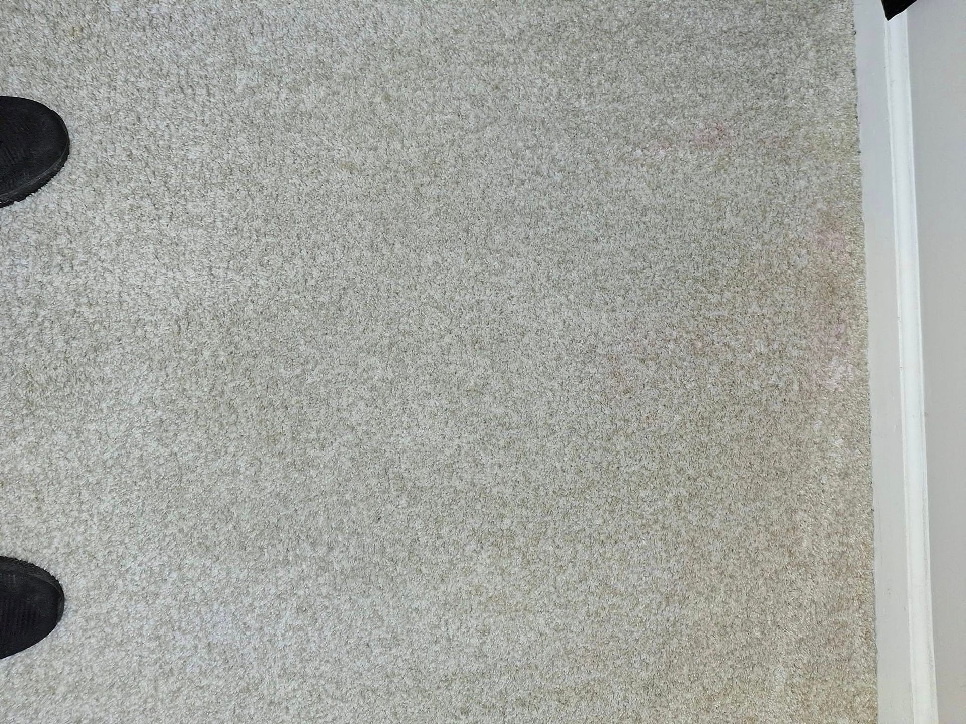 Overhead view of light gray carpet next to a white wall with dark shoes visible at the edge.