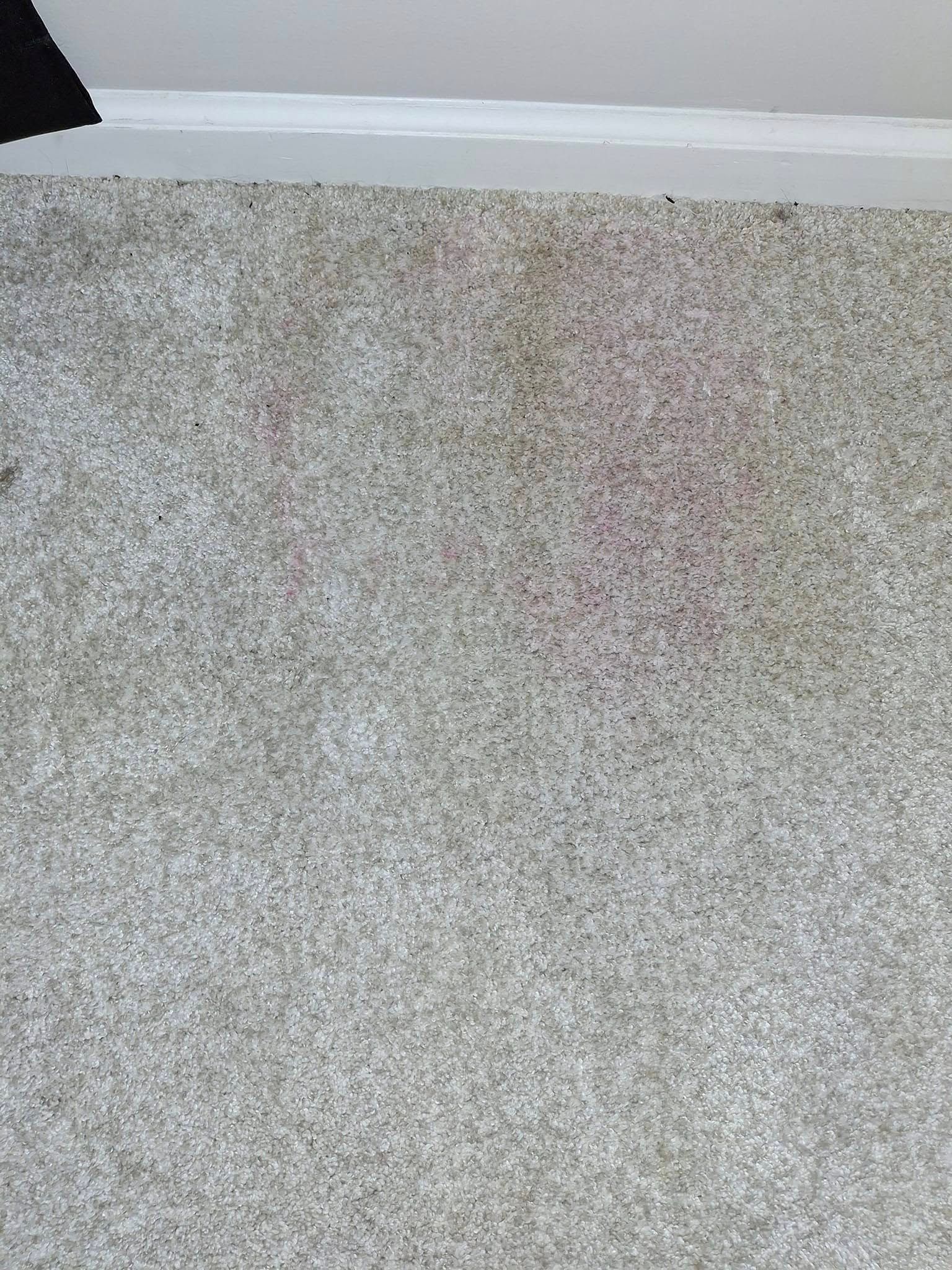 Tan carpet with a reddish stain near a white baseboard.