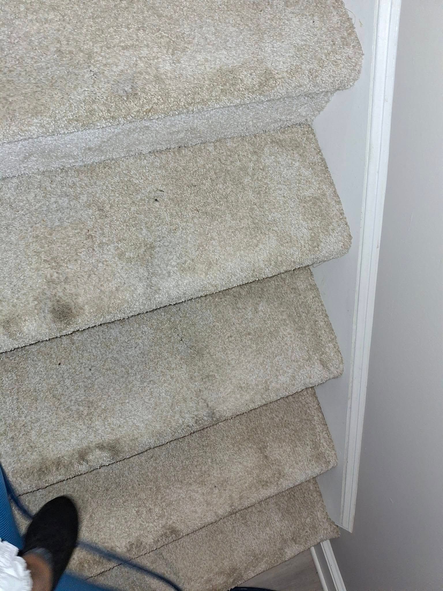 Carpeted staircase viewed from above; off-white stairs with some dirt and wear, white wall on the right.