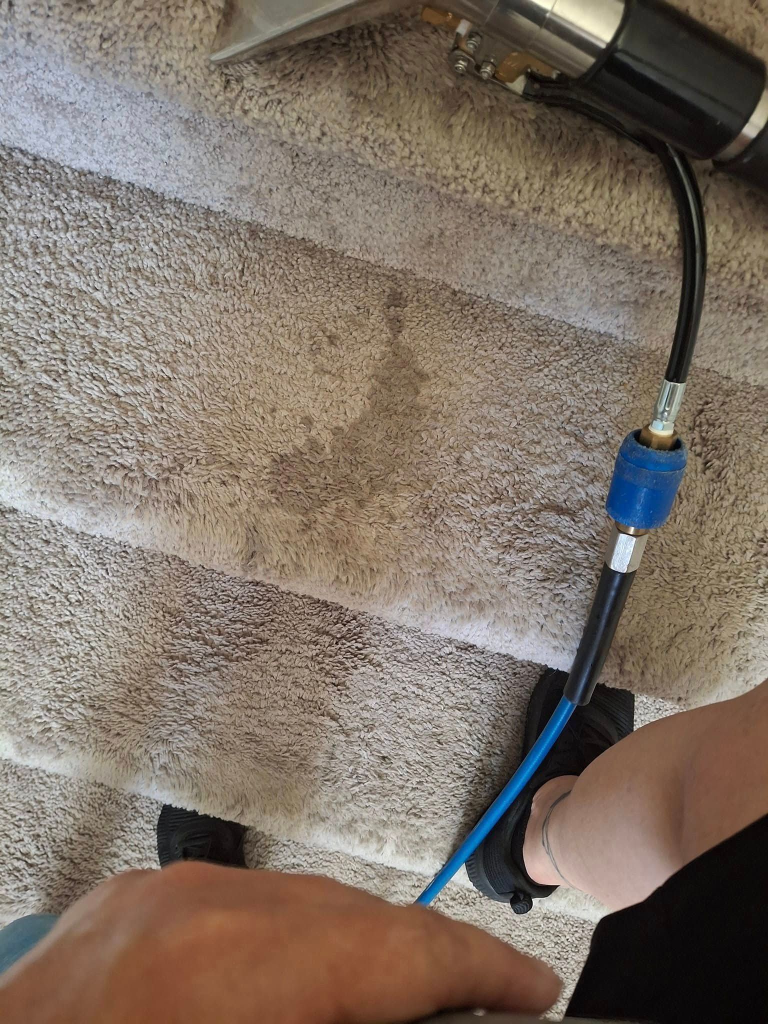 Person cleaning carpeted stairs with a cleaning tool, black and blue hoses.
