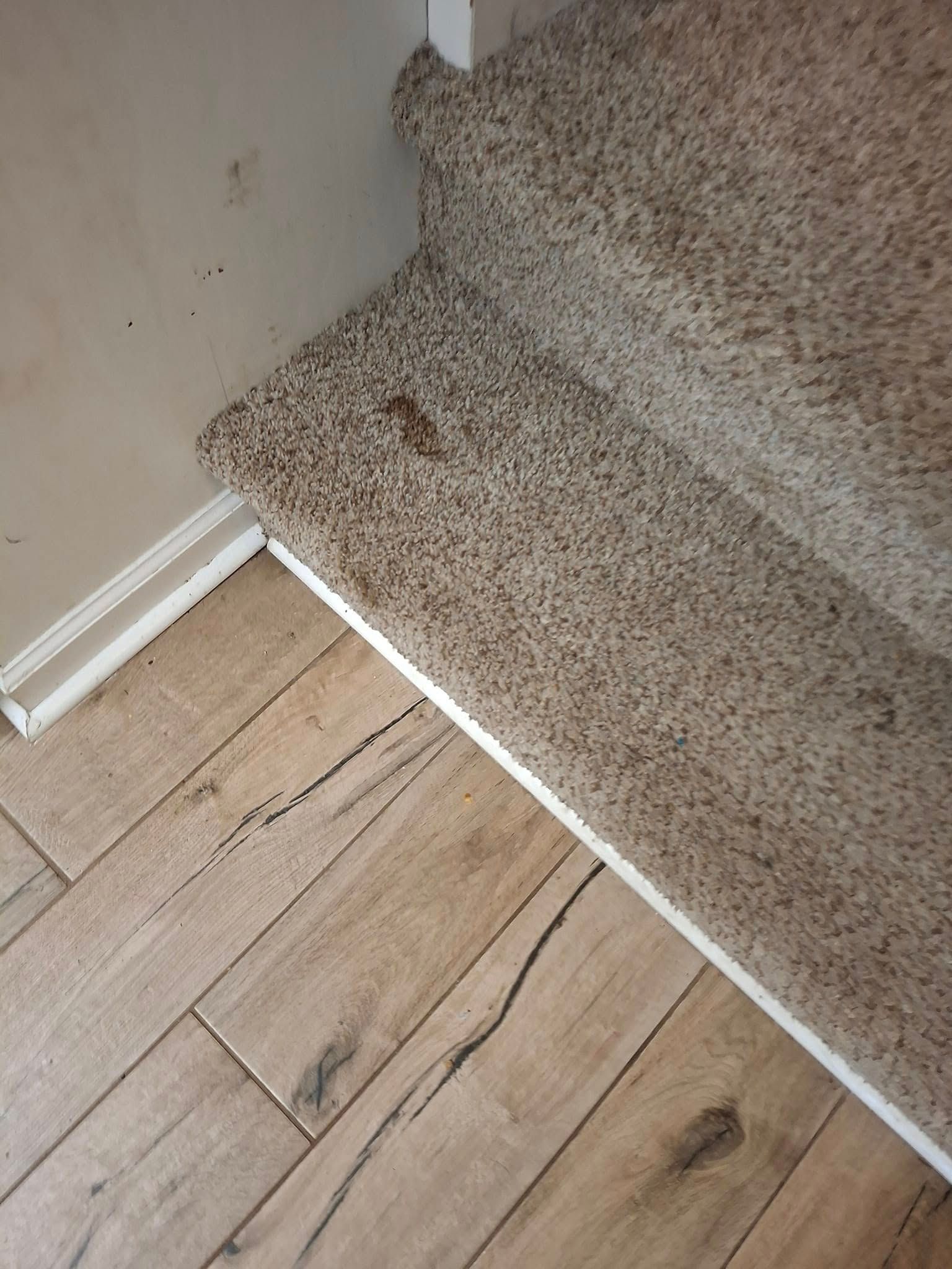 Carpeted stairs meet wood-look tile flooring; off-white baseboard and wall at left.