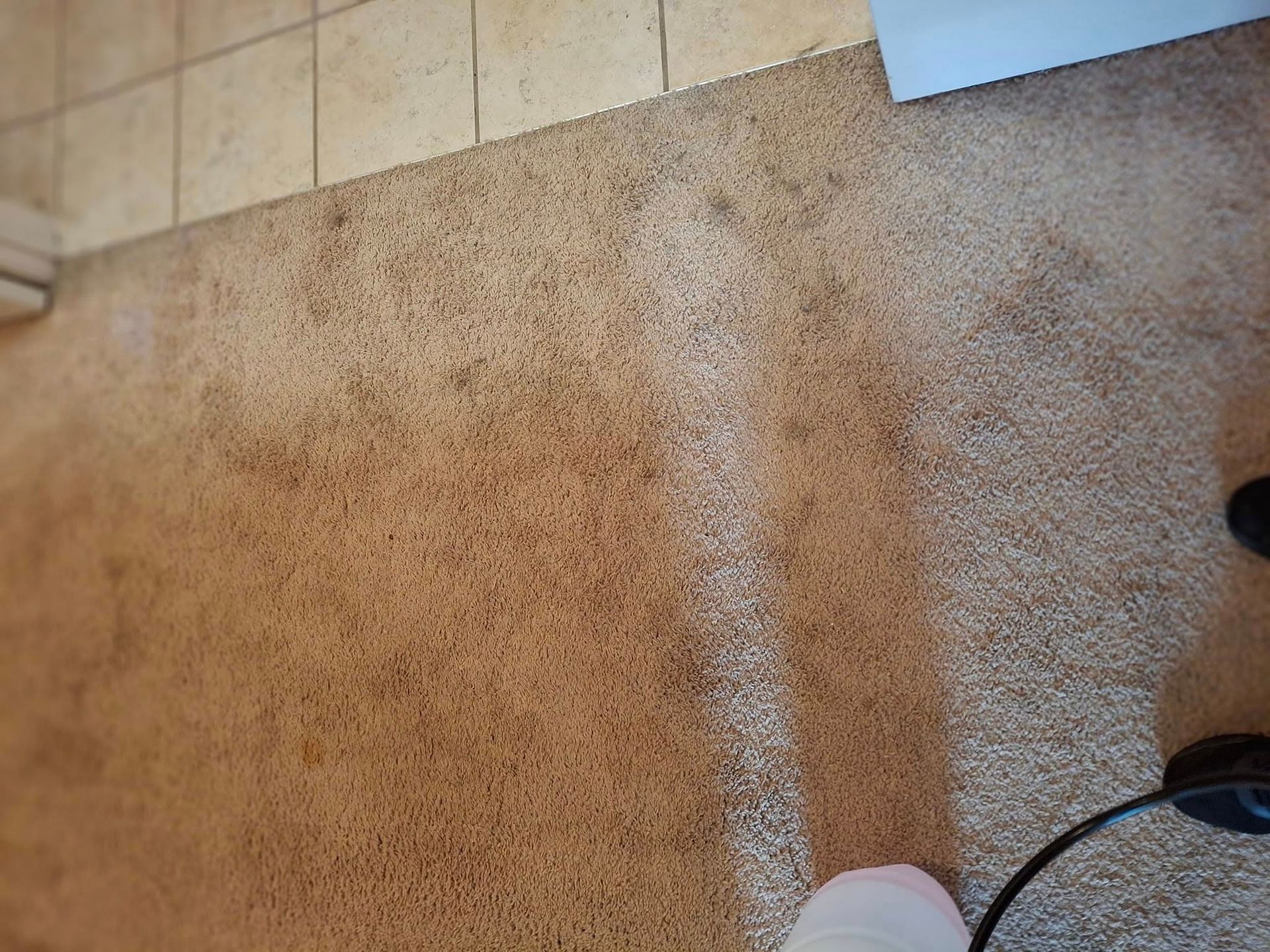 Brown carpet with visible cleaning streaks, adjacent to light-colored tile flooring.