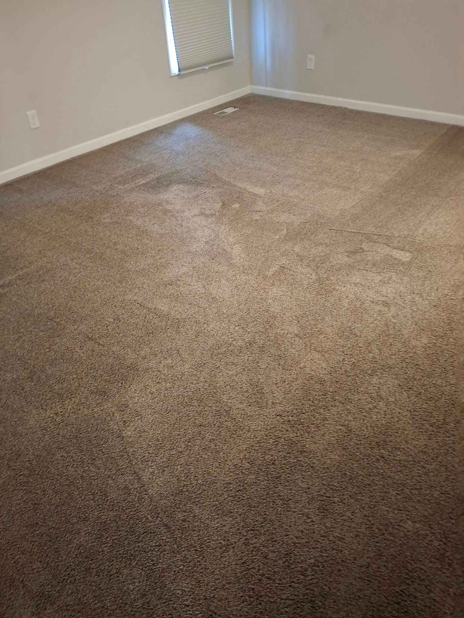 Beige carpet in a room with a window and white walls.