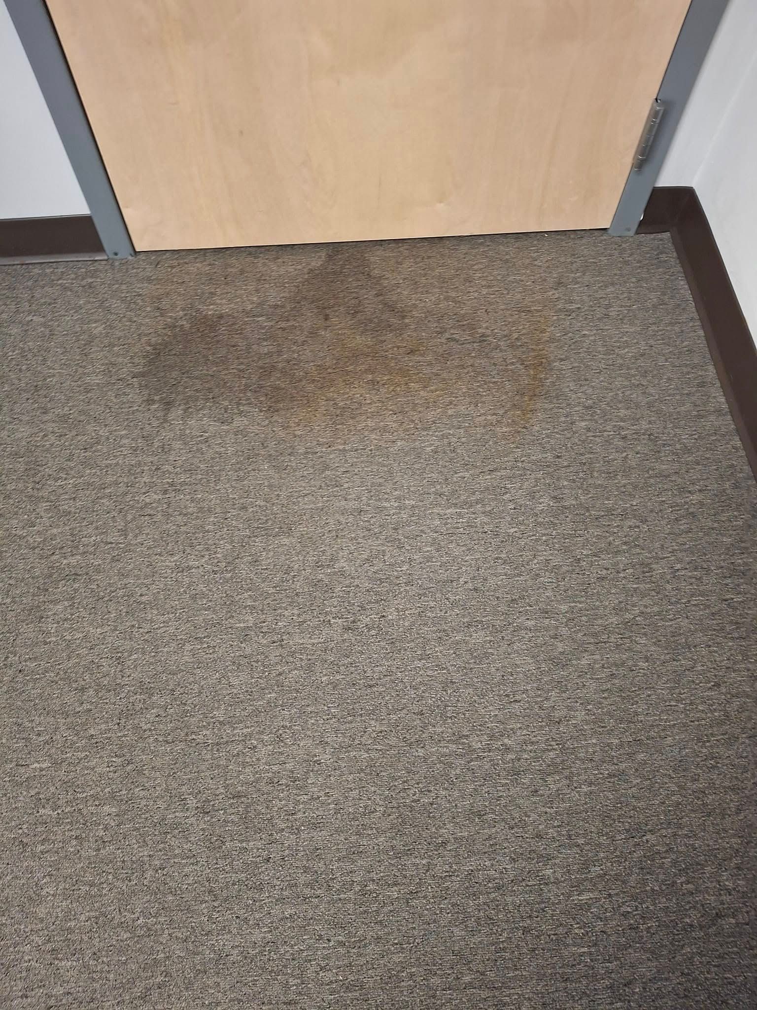 Stained carpet in front of a closed, light-colored wooden door.