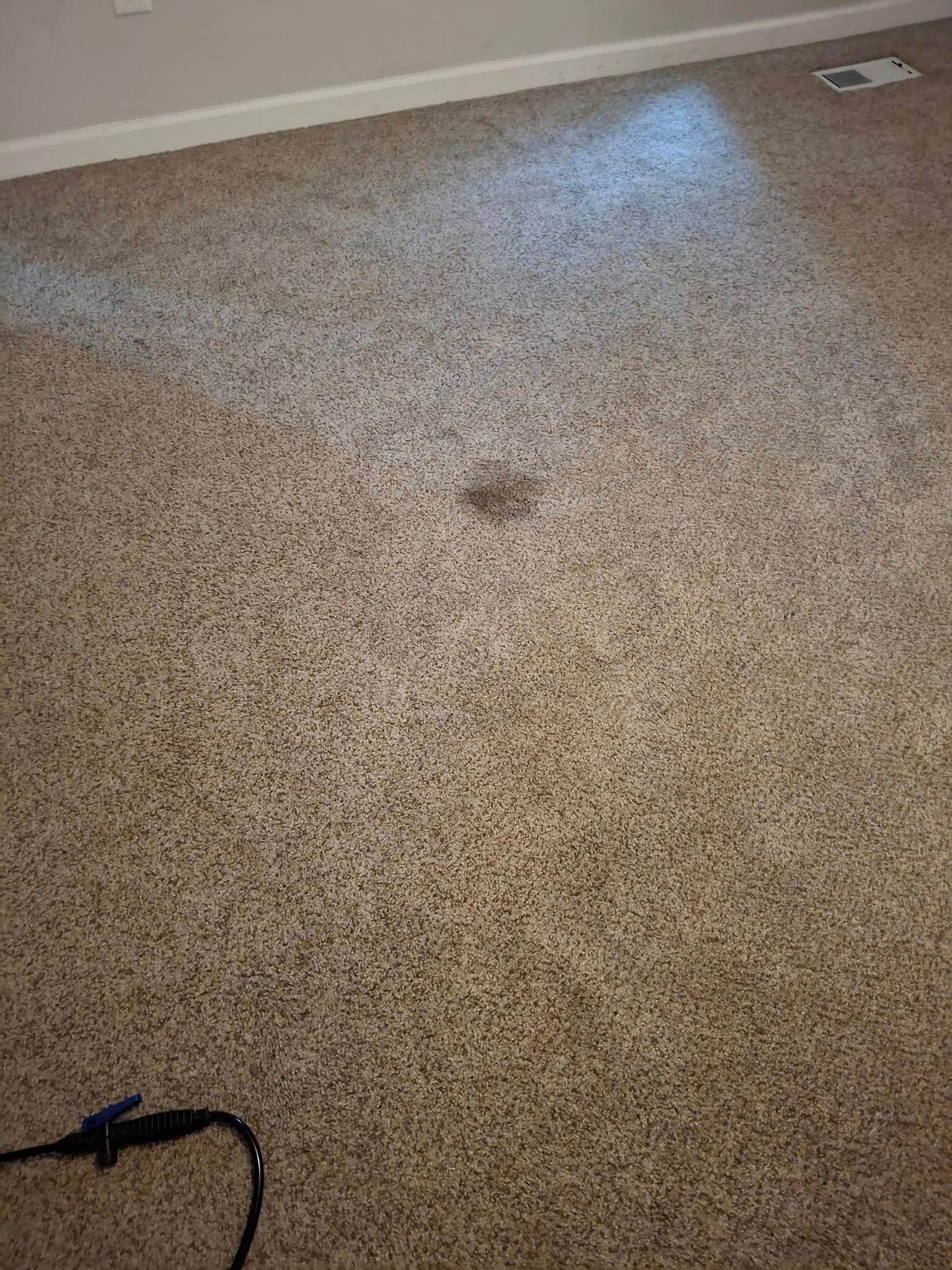 Beige speckled carpet with a dark stain in the center and a power cord at the bottom.